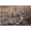 Image 4 : Kodiak Island Sitka Deer hunt for 4