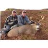 Image 5 : Kodiak Island Sitka Deer hunt for 4