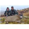 Image 6 : Kodiak Island Sitka Deer hunt for 4