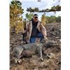 Image 3 : Oklahoma Hog Hunt