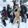 Image 4 : Wyoming Mountain Lion Hunt
