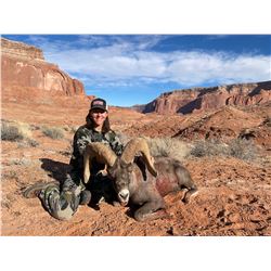 Navajo Nation Desert Bighorn Tag