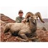 Image 2 : Navajo Nation Desert Bighorn Tag