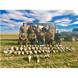 Two Day Texas Sandhills Crane/Goose Hunt for 6