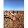 Image 4 : Two Day Texas Sandhills Crane/Goose Hunt for 6