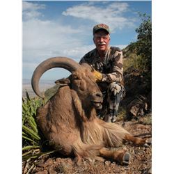 Texas Aoudad Hunt