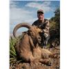 Image 1 : Texas Aoudad Hunt