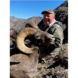Wyoming Governor’s Bighorn Sheep Tag