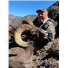 Image 1 : Wyoming Governor’s Bighorn Sheep Tag