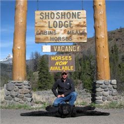 Wyoming Spring Black Bear Hunt