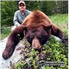Image 2 : Wyoming Spring Black Bear Hunt