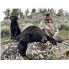 Image 3 : Wyoming Spring Black Bear Hunt