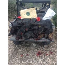 Texas Safari for 2 Hunters 2021 or 2022