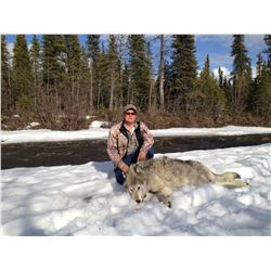 7 Day Alaska Wolf and Predator Hunt