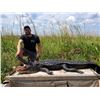 Image 1 : Louisiana Alligator Hunt