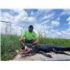 Image 2 : Louisiana Alligator Hunt