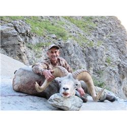 Special Auction! Conservation Stone Sheep Tag!!