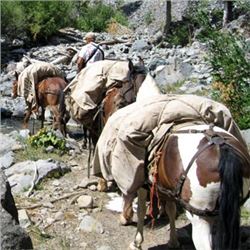 Wyoming Summer Pack Trip