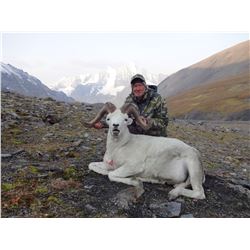 10-Day Alaska Dall Sheep Hunt