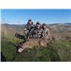 Image 2 : 5-Day Columbia Blacktail Deer