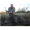 Image 3 : 5-Day Argentina Antelope, Boar, and Fishing Trip for 2 Hunters