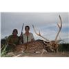 Image 5 : 5-Day Argentina Antelope, Boar, and Fishing Trip for 2 Hunters
