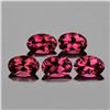 Image 1 : Natural  Rhodolite Garnet 5 Pcs[Flawless-VVS]