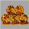 Image 1 : Natural Fanta Orange Spessartite Garnet 5 Pcs - FL