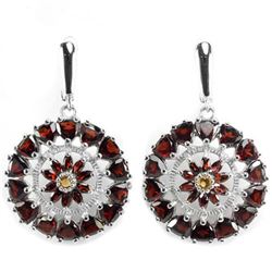 Natural Garnet & Citrine Earring
