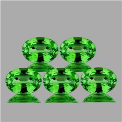 Natural Chrome Green Tsavorite Garnet 5 Pcs{Flawless}