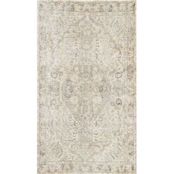 5 X 3 hand knotted wool distresses area rug early 19th/c