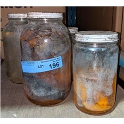 4 bottles of specimens from Chilling Adventures(season 4)