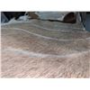 Image 1 : Kudu Hide - Tanzania Export Permit