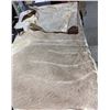 Image 2 : Kudu Hide - Tanzania Export Permit
