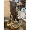 Image 2 : Life size wolf mount with caribou antlers