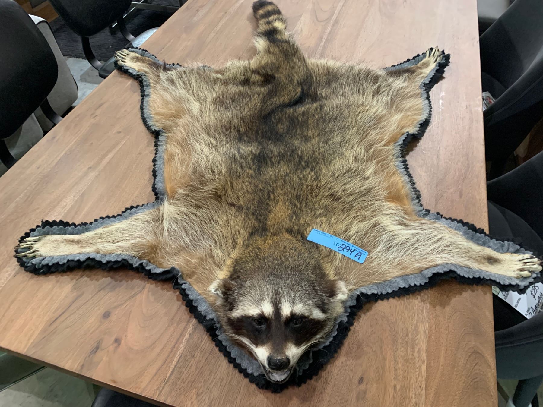 Real Racoon Skin Rug Well done Raccoon pelt rug
