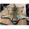 Image 1 : Well done Raccoon pelt rug