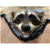 Image 2 : Well done Raccoon pelt rug