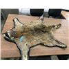 Image 3 : Well done Raccoon pelt rug