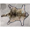 Image 5 : Well done Raccoon pelt rug