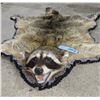 Image 6 : Well done Raccoon pelt rug