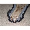Image 8 : Well done Raccoon pelt rug