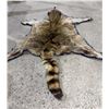 Image 9 : Well done Raccoon pelt rug