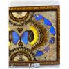 Image 3 : Butterfly Wing Tray