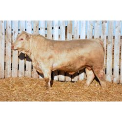 RAWES SIR BRANT 181G