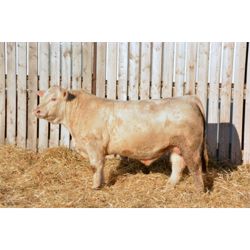 RAWES LIGHTNING 403G