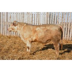 RAWES SIR BRANT 406G