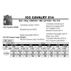 ICC CAVALRY 014
