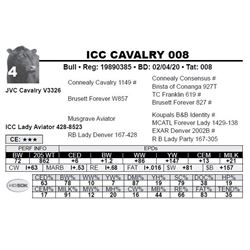 ICC CAVALRY 008