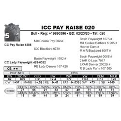 ICC PAY RAISE 020